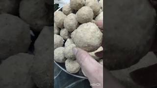 Gond ki laddu healthy ladduaata laddu shorts subscribe 💞 [upl. by Anirtek16]