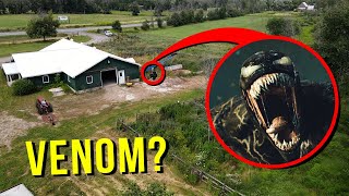 DRONE CATCHES VENOM AT HAUNTED ABANDONED BARN HE ATTACKED US [upl. by Teerpnam121]