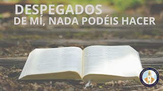 DESPEGADOS DE MÍ NADA PODEIS HACER PASTORA NIKAULY RIVERA [upl. by Shimberg209]