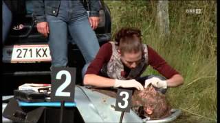 SOKO Kitzbuehel  skateboard the cradle skatepark mpg [upl. by Wack489]