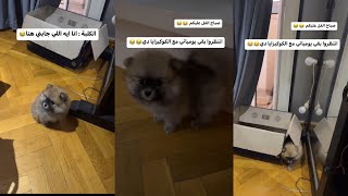 هايدي كامل شوفو الكلب عمل اي في ماما😱😱😱🥲 [upl. by Eldwun]