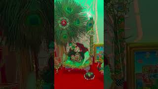 Bhagat ke Vash mein hai Bhagwan 🦚🙏📸❤️ ladoo gopal short video [upl. by Giorgio985]