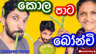 කොල පාටට බෝන්චි උයමුHow to make green bean currySangeeth VlogsSangeeth Satharasinghe [upl. by Esilehs]