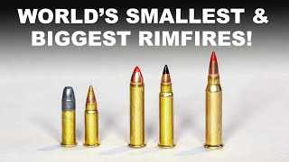 Worlds Smallest amp Biggest Rimfires — 17 and 22 Calibers [upl. by Nocaed]