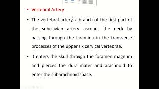 arterial supply of brain [upl. by Lerad]