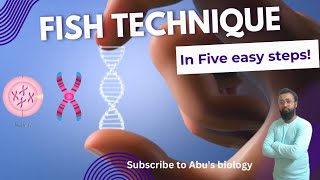 Fluorescence in situ hybridization technique  FISH  Principle  procedure  Advantages fish [upl. by Kimber]