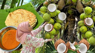 KELAPA DI MASAK MACAM NI SANGAT SEDAP  PEKNGA  LEMPENG KELAPA Sarapan pagi orang UTARA [upl. by Edelman394]