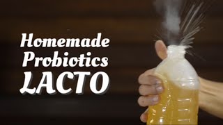 How to make Probiotics LACTO [upl. by Aihcila880]