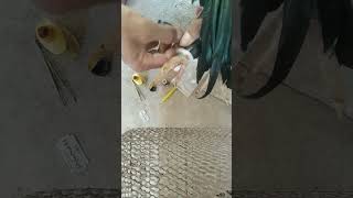 VID chicken foot treatment 3 chickenfood [upl. by Giesser]