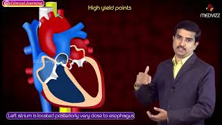 Shock Pathology of Different Types Animation [upl. by Faye699]