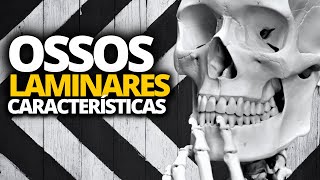 Ossos LAMINARES  CARACTERÍSTICAS [upl. by Gherardi]