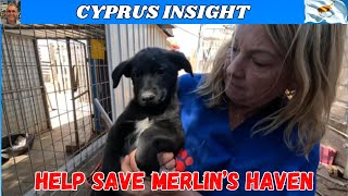 MERLINS HAVEN Cyprus Needs Your Help NOW to Avoid Disaster [upl. by Oleic]