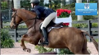 News Flash amp Madison Brown Large Children’s Pony WEF 3 2024 🥇 [upl. by Musette]