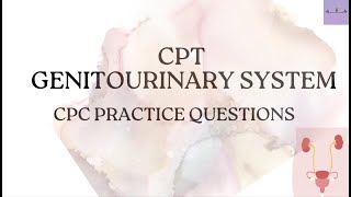 CPT GENITOURINARY SYSTEMCPC PRACTICE QUESTIONSMEDICAL CODING AND BILLING [upl. by Leirad657]