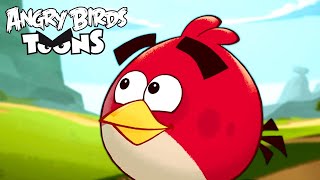 Angry Birds Toons Season 1  Ep 36 to 40 [upl. by Bee807]