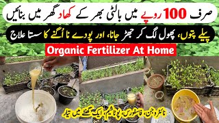 Organic Fertilizer At Home With 2 Things In New Method For Plants  Liquid Fertilizer For All Plants [upl. by Evangelin437]