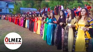 Büyük bir Kürt Aşireti Düğünü Qeşuran Aşireti Şırnak kurdish wedding [upl. by Aisatana]