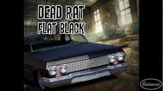 Flat Black  DEAD RAT Flat Black Paint from Eastwood [upl. by Ecenaj]