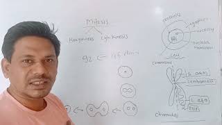 mitosisprophase class 10 science chapter 2 life processes in living organisms part 1 [upl. by Luce]