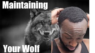 360 Waves  How to Maintain a Wolf [upl. by Rodney]