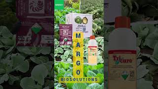 DELFIN amp TRICURE  The BioSolutions from MARGO Cabbage [upl. by Lishe301]