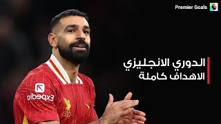 اهداف الدوري الانجليزي اليوم كاملة السبت 21124 [upl. by Ahsytal57]