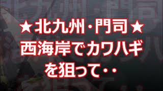 【10月中旬】☆北九州・門司★西海岸でカワハギを狙って♪。 [upl. by Orfield272]