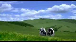 Happy Cows  sheep escape [upl. by Rodie]