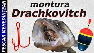 montura Drachkovitch [upl. by Leryt]