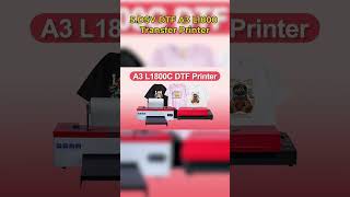 The Most Powerful DTF Printers Ranked and Revealed [upl. by Ardelia219]