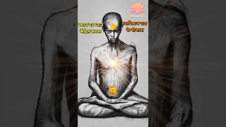 स्वाधिष्ठान चक्र को कैसे सक्रिय करेंswadishthan chakra Ko kaise jagrat kareosho maditation yoga [upl. by Zarihs792]