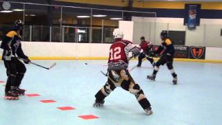 Beards Of Glory vs Wizards  Period 1 102313 Roller Hockey Dangles Dekes Moves Skills [upl. by Eibrik877]