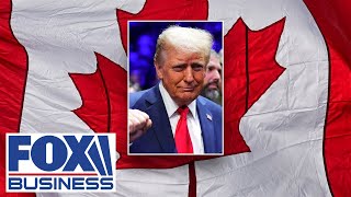 ‘HA’ Canada premier responds to Trump’s joke the country should become 51st state [upl. by Aneeuqahs]