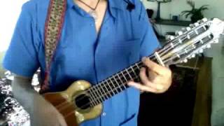 Charango Lesson 1 EnglishSpanish [upl. by Willcox]