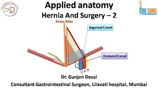 Mastering hernia surgery  2 Applied anatomy masterclass on inguinal region areas and ligaments [upl. by Zilber]