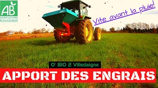 FERTILISATIONJe met tout lengrais organique sur les blés bio cest le moment [upl. by Corry120]