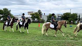 Chincoteague Pony Drill Team [upl. by Onifled]