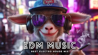 EDM Music Mix 2024🎧Mashups amp Remixes Of Popular Songs🎧Bass Boosted 2024 [upl. by Adnirolc186]