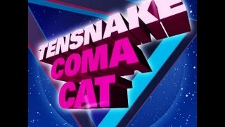 Tensnake  Coma Cat Full Length 2010 [upl. by Federico]