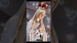 feastofmary madhatv madhatvlive kilachery history love christmas [upl. by Harper370]