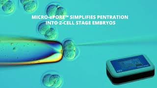 MICRO ePORE™ Cell Penetrator Improves Viability of Injected 2Cell Stage Embryos [upl. by Blackburn]