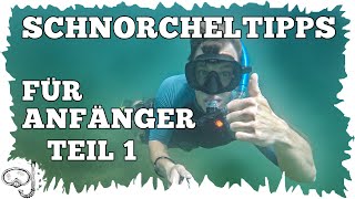 10 Schnorcheltipps für Anfänger  Teil 1  Schnorcheln lernen [upl. by Acinomaj196]