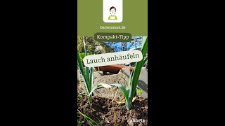 Für einen langen zarten Schaft Porree anhäufeln Garten KompaktTipp Gartenmoni Shorts [upl. by Jory]