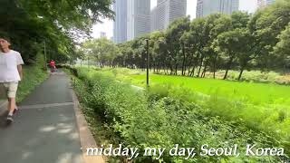 My midday my day my life Seoul Korea a native Korean’s lifestyle 서울 양재천 [upl. by Emelda827]