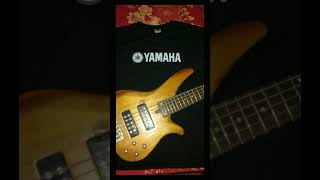 BUNGA LARANGANUG14  Bass audio cover [upl. by Graybill]