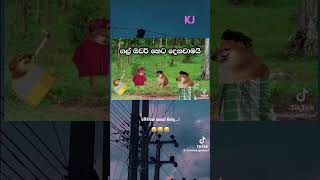 Gal kapana kolu rane top viralvideo trending kpy viralshort srilanka covermusic duet funny [upl. by Chong346]