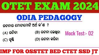 Target OTET Exam 2024  Odia Pedagogy MCQs  Imp for SSD Sevak Sevika TGT CTET amp OSSTET Exam [upl. by Weisler85]