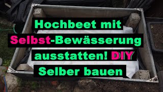 Bewässerung für Hochbeet selber bauen Selbstbewässerung spart Wasser und Nährstoffe Rückgewinnung [upl. by Anirdna]