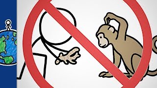 Why You Shouldnt Give Ginger To Monkeys and other animal sayings [upl. by Marigolda]