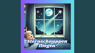 Sternschnuppen fliegen [upl. by Gatias]